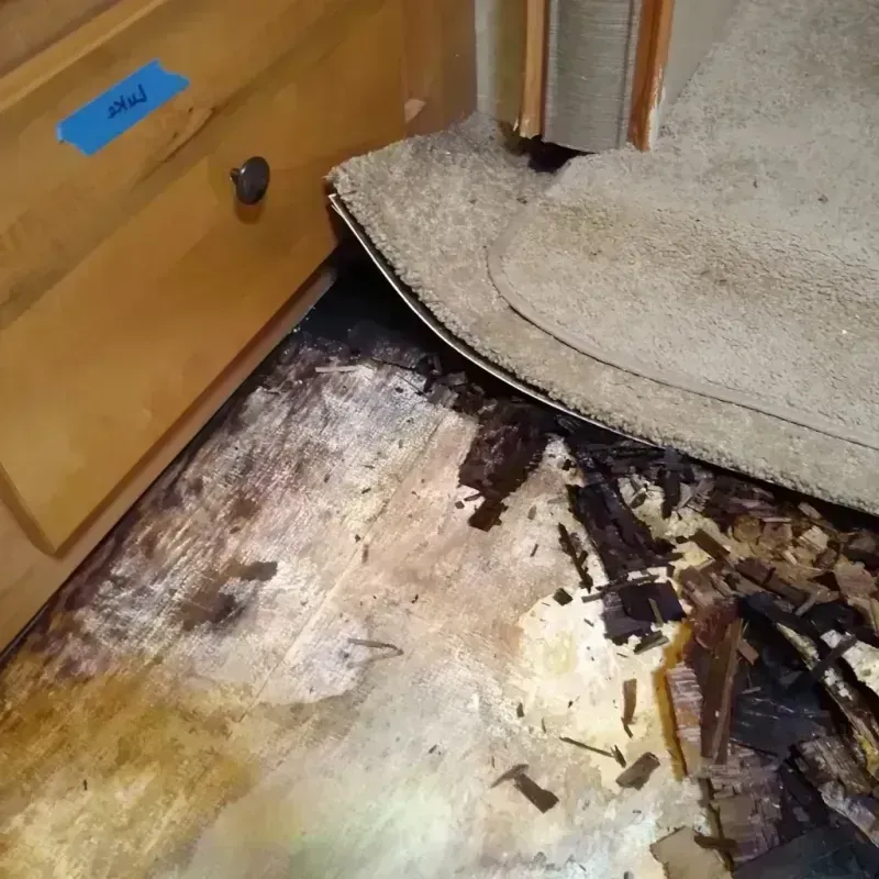 Best Wood Floor Water Damage Service in Highland Park, PA